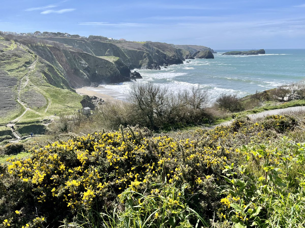 downthecove's tweet photo. What a difference a few days makes! Normal service has now resumed ☀️😎
#mullion #cornwall #summer #sunny #sunshine #coast #swcoast #sunseasurf #polurrian #beach #lovelyday https://t.co/SVhfzswUcy