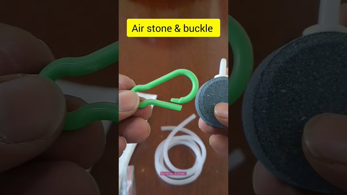 FlakeFood's tweet image. Aquariums: USB Aquarium Air #Pump ...
 
#AirPump #Amazonae #AquariumAirPump #AquariumAirpump #AquariumBowl
 
flakefood.com/402412/aquariu…