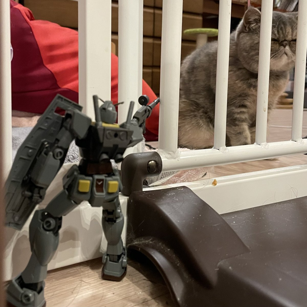 巨大生物発見！