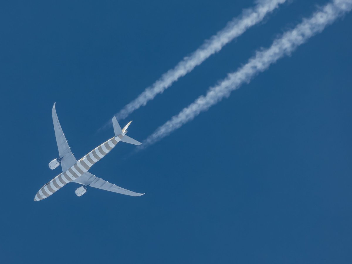 DLNetherlands's tweet photo. CONDOR2016 🇩🇪
Condor
Airbus A330-941
🇩🇪D-ANRH (dec 2022)
Frankfurt -> New York JFK 🇩🇪🇺🇸
@NLspot #NLspot #CFG2016 #Airbus #Avgeek #Aviation #P950 #Nikon https://t.co/ZhPaBmviGS