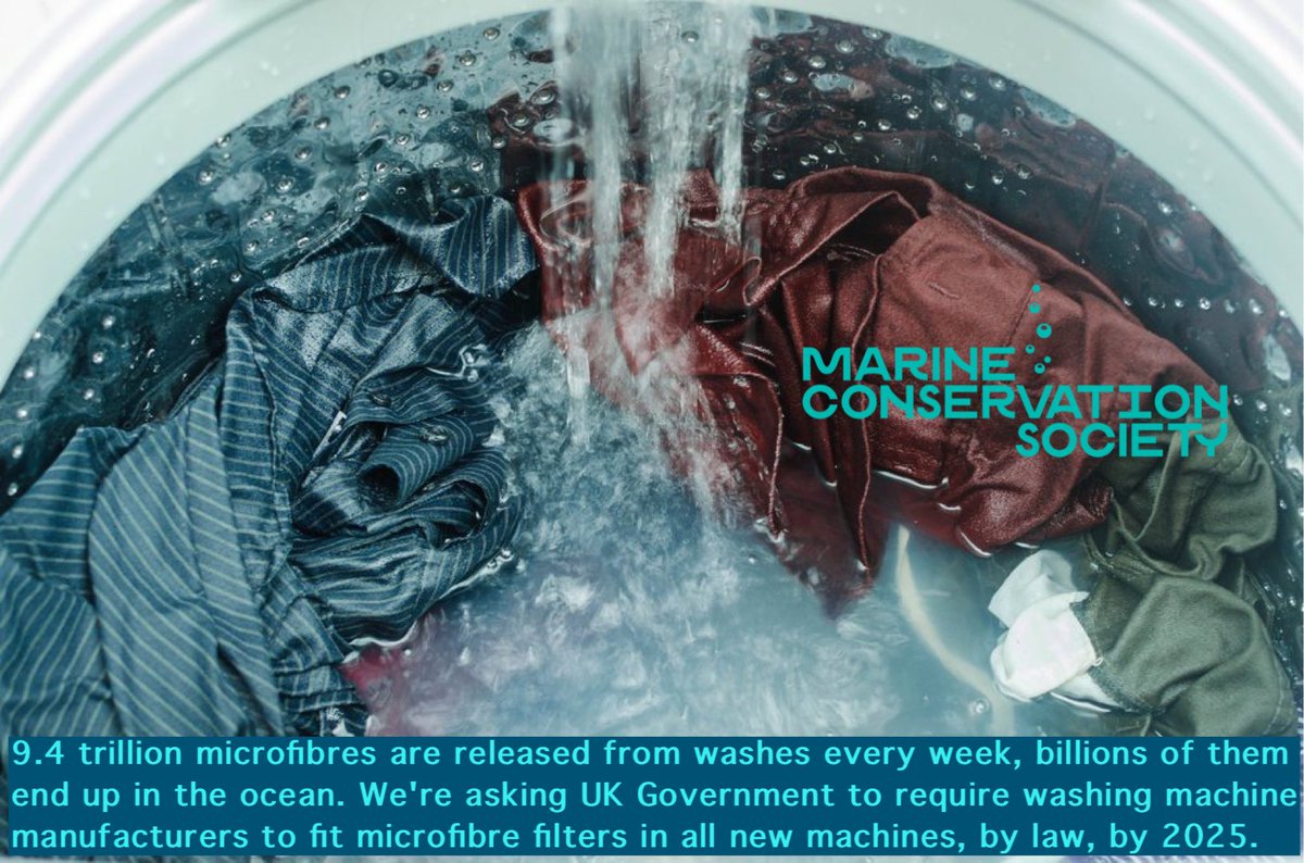 mikecoulson48's tweet photo. I've just signed the @mcsuk petition to #StopOceanThreads. Add your voice to call for washing machine manufacturers to fit microfibre filters in all new domestic and commercial machines: https://t.co/rhG7QDKHR0 https://t.co/ocgRZCFsZa