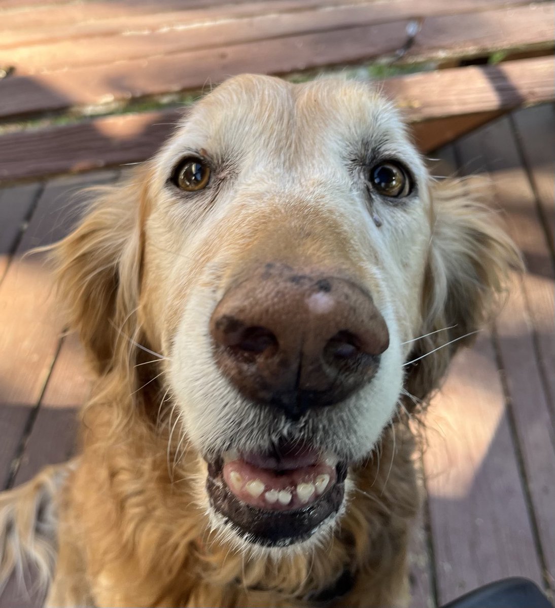 Greg Hillis tweet media