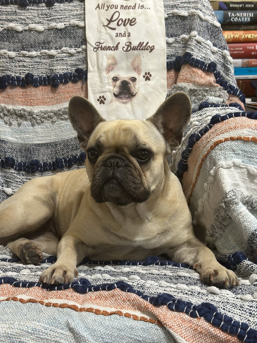 pdhcssr's tweet image. 