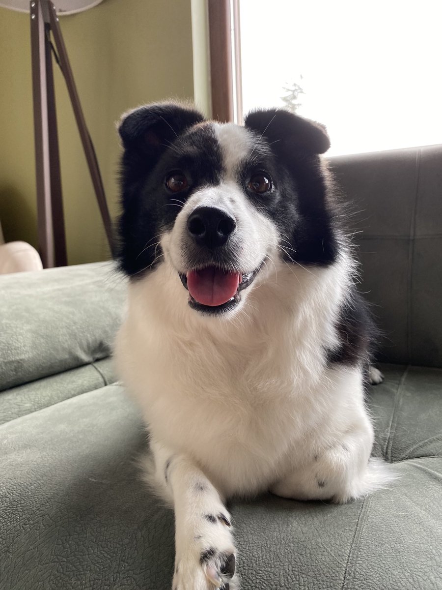 Boka bulanıp enayilere kendimi yıkattım pozu