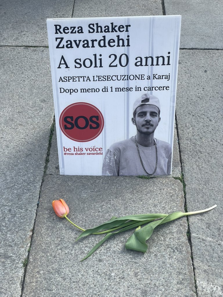 alex curti tweet media