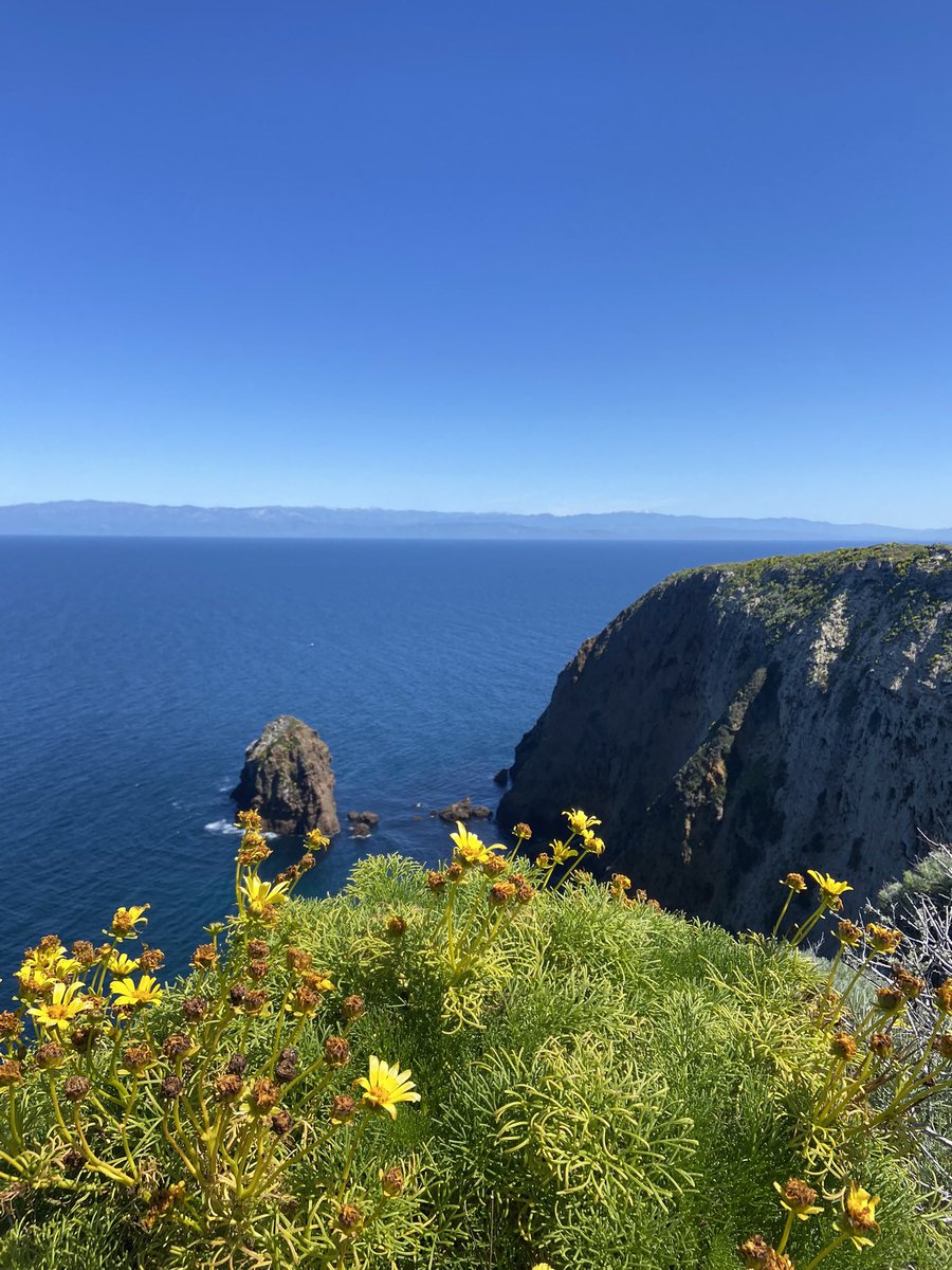 QuinnHopen's tweet photo. I had the best time at my first @GordonConf last week! I was fortunate enough to give a short talk on my research, meet some great scientists, and spend a bit of time exploring southern CA. Thanks to the organizers for a wonderful inaugural meeting #SexDifferencesinImmunity https://t.co/WSdo4zcrys