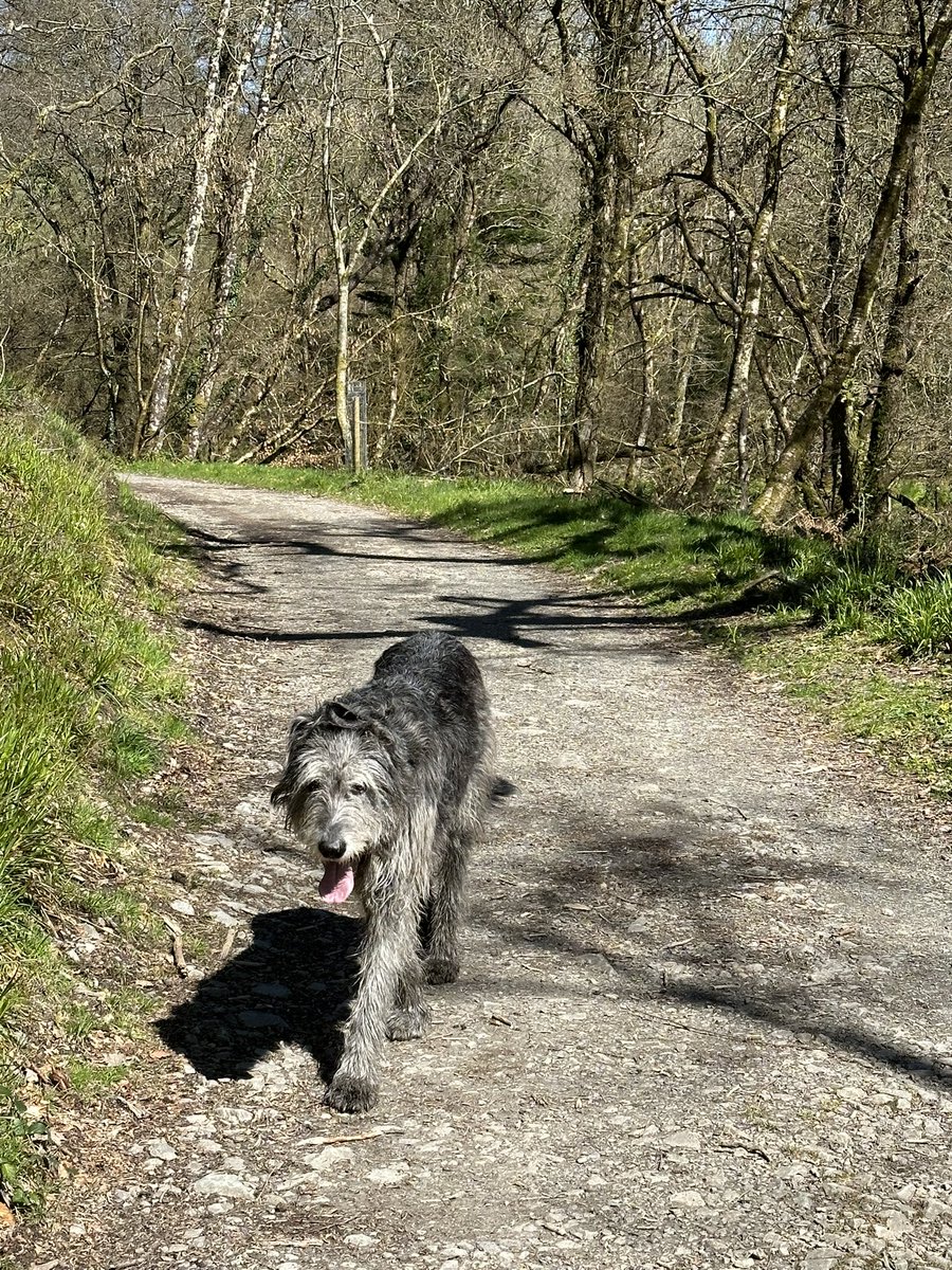 Stuart Brocklehurst tweet media