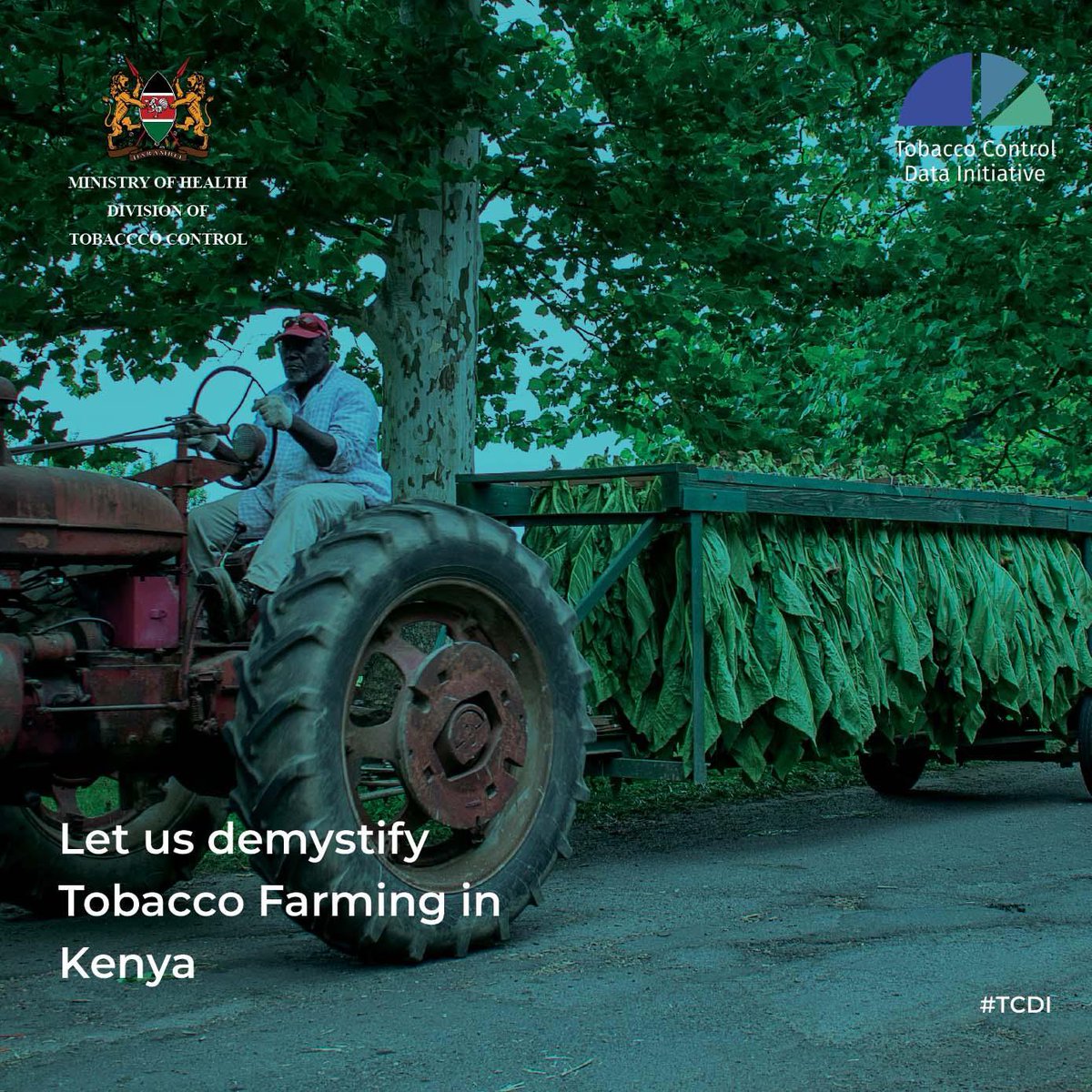 Myth: The Tobacco industry is a good corporate citizen.
Fact: The Tobacco industry in Kenya fails to comply with applicable environmental and occupational health and safety standards in tobacco farming. TobaccoControlData #TCDI
#tobaccofreeKenya
#TobaccoFreeFarmsKE