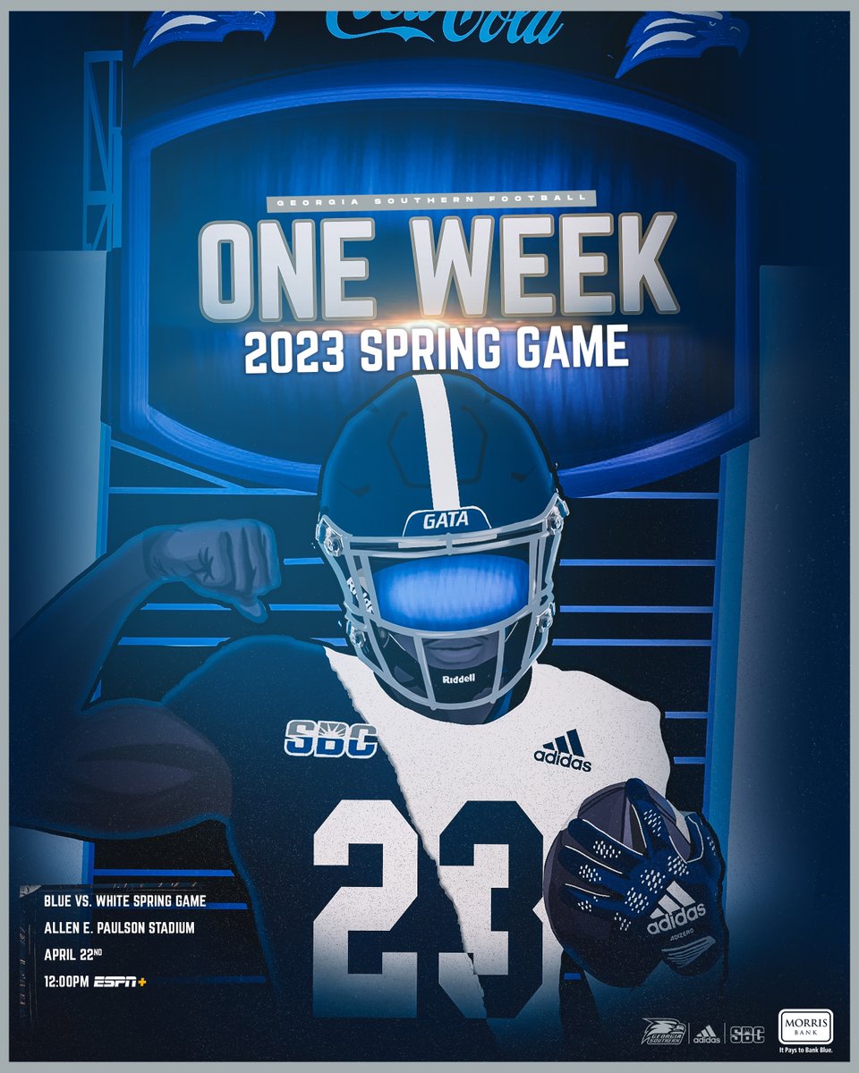 Georgia Southern Football tweet media