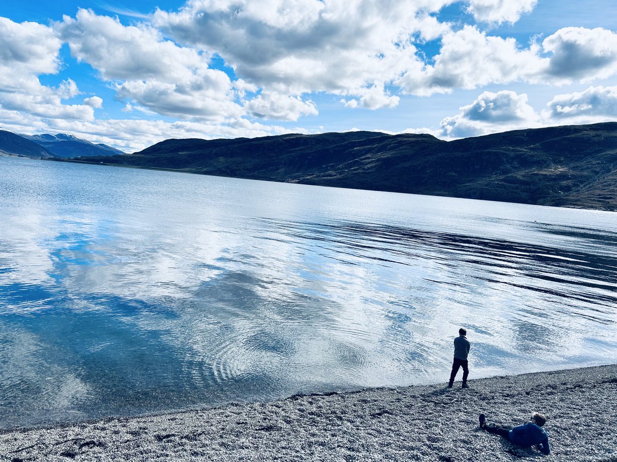 ✨ Donna Hall ✨ tweet media