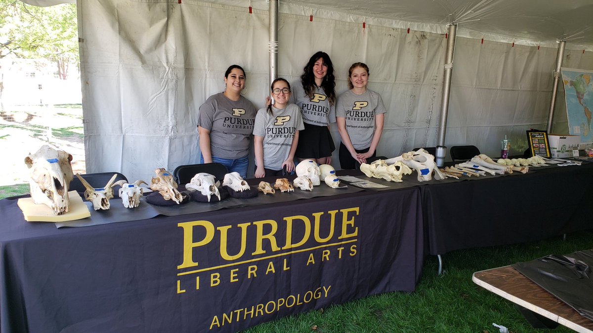 Melanie Beasley tweet media