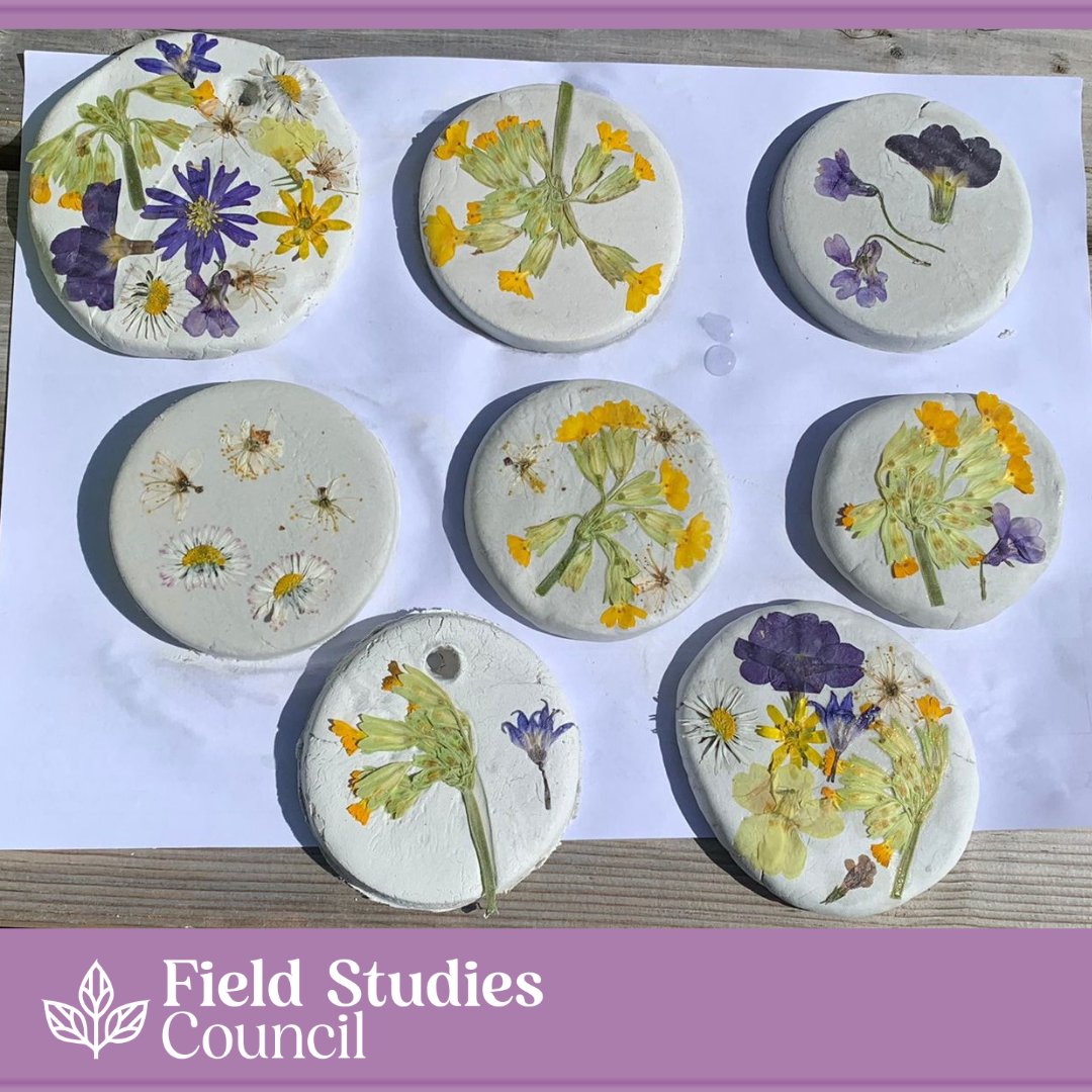 FSCNettlecombe's tweet photo. Thanks to everyone that came to our Wildlife Watch Club this morning! We all had a lovely time! Looking forward to seeing everyone next month.
#wildflowers #pressedflowers #flowerid https://t.co/3wPbtcy5Lz