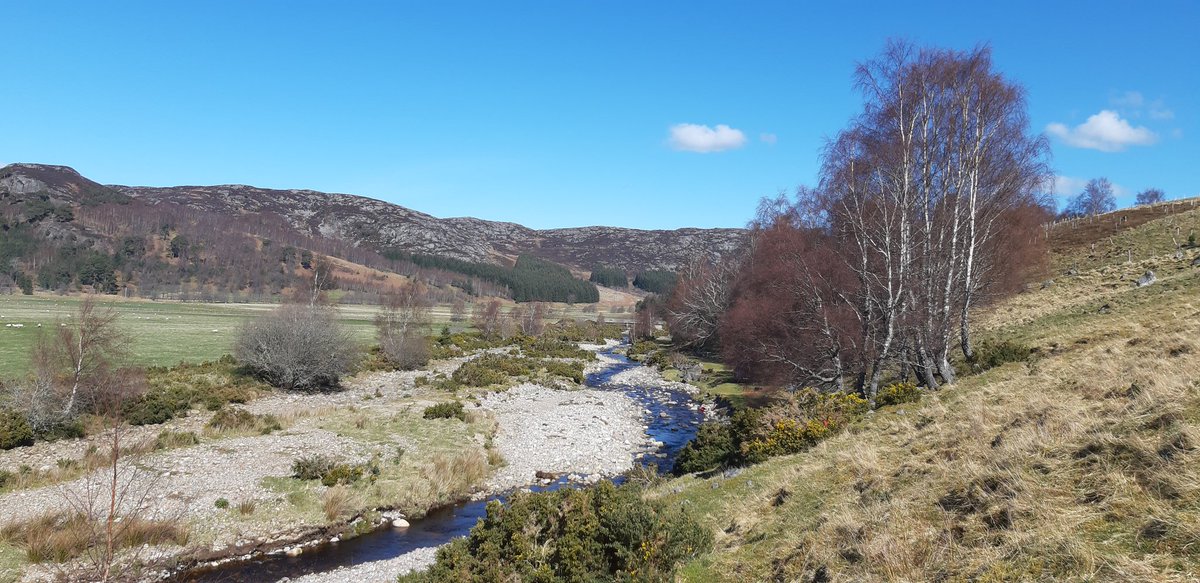 Wonderful weather for @UofGGES geography undergraduates who are investigating the River Nairn restoration scheme today, by air, land and water