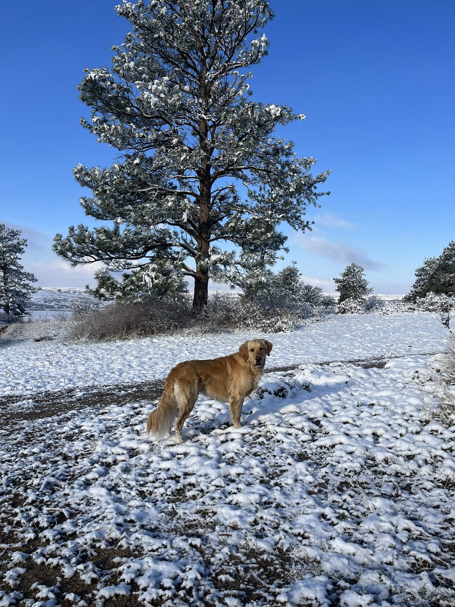 Course update featuring Maui <a href="/DogsOfTurf/">Dogs Of Turf</a> <a href="/RMGCSA/">RMGCSA</a>