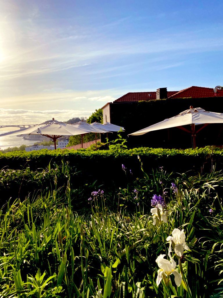 Gm Family ☕️☀️ 

Another sunny morning has arrived and it is full of new opportunities to be happy and conquer the world. Believe in your potential!🪻🌸

#NFTCommunity #NFTs #Web3