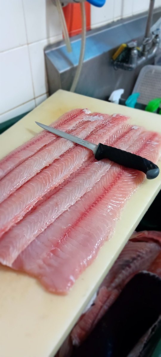 Snakehead fillets 😍🤤 Also available: Yellowtail Snapper Yelloweye snapper fillets Mahi Mahi Yellowfin Tuna Oysters Key West Pink Shrimp Wahoo Swordfish Salmon #SnapperMikes #blackseafoodbusiness #freshestfishinbroward #seafoodofbrowardcounty #daviefl #freshfromflorida