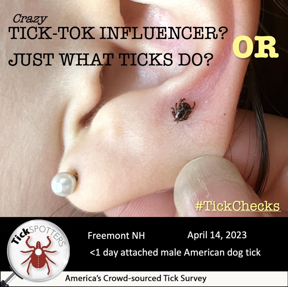 Thomas Mather (@thetickguy) on Twitter photo Be an influencer...
Share this video; and let’s start a #tickcheck trend!
bit.ly/tickcheck1 <a href="/Pogue/">David Pogue</a> <a href="/LonnieRhea/">Lonnie R Marcum, PT, BSHCA</a> <a href="/RealMalachowski/">Nicole Malachowski</a> <a href="/ticklab/">Neeta Pardanani Connally</a> <a href="/MachtingerLab/">Erika Machtinger (inactive)</a> Be an influencer...
Share this video; and let’s start a #tickcheck trend!
bit.ly/tickcheck1 <a href="/Pogue/">David Pogue</a> <a href="/LonnieRhea/">Lonnie R Marcum, PT, BSHCA</a> <a href="/RealMalachowski/">Nicole Malachowski</a> <a href="/ticklab/">Neeta Pardanani Connally</a> <a href="/MachtingerLab/">Erika Machtinger (inactive)</a>