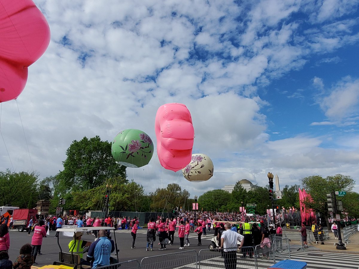 The @CherryBlossFest parade is underway on Constitution Ave NW!