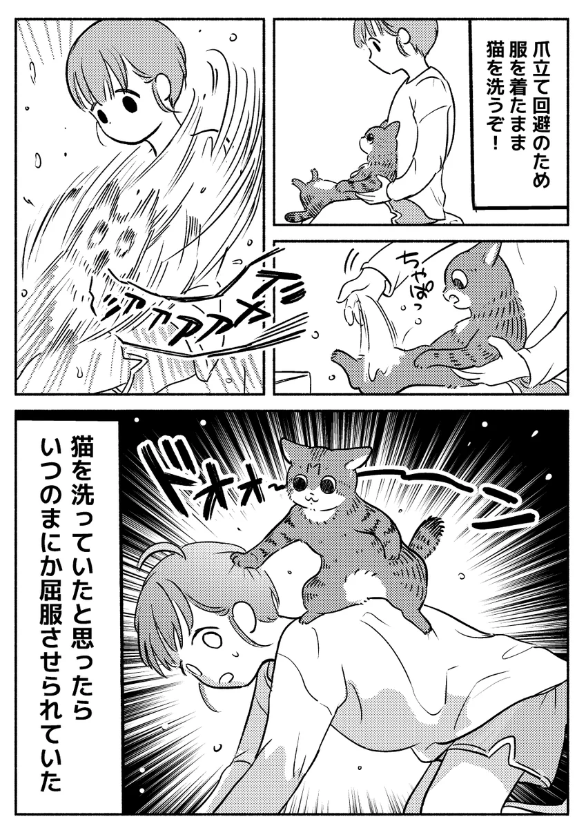 猫を洗っていたと思ったら、いつの間にか･･･！ある日の出来事を描いた「猫漫画」が話題に！