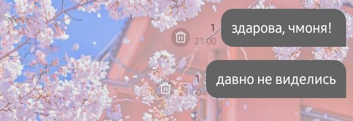 noximata's tweet photo. спустя полтора года врываюсь в бублик https://t.co/8wmSNaA3iP