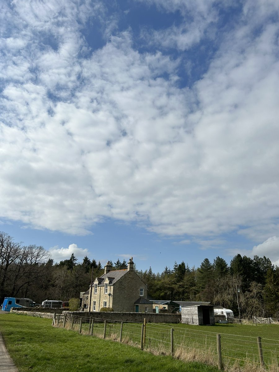 kay_sambell's tweet photo. #FirstSwallows The advance party have made it safely back to Northumberland already! https://t.co/1ooVIiyxj8