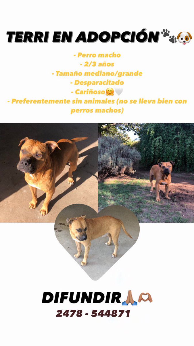 Milagros Di Palma (@milagrosdipalma) on Twitter photo 