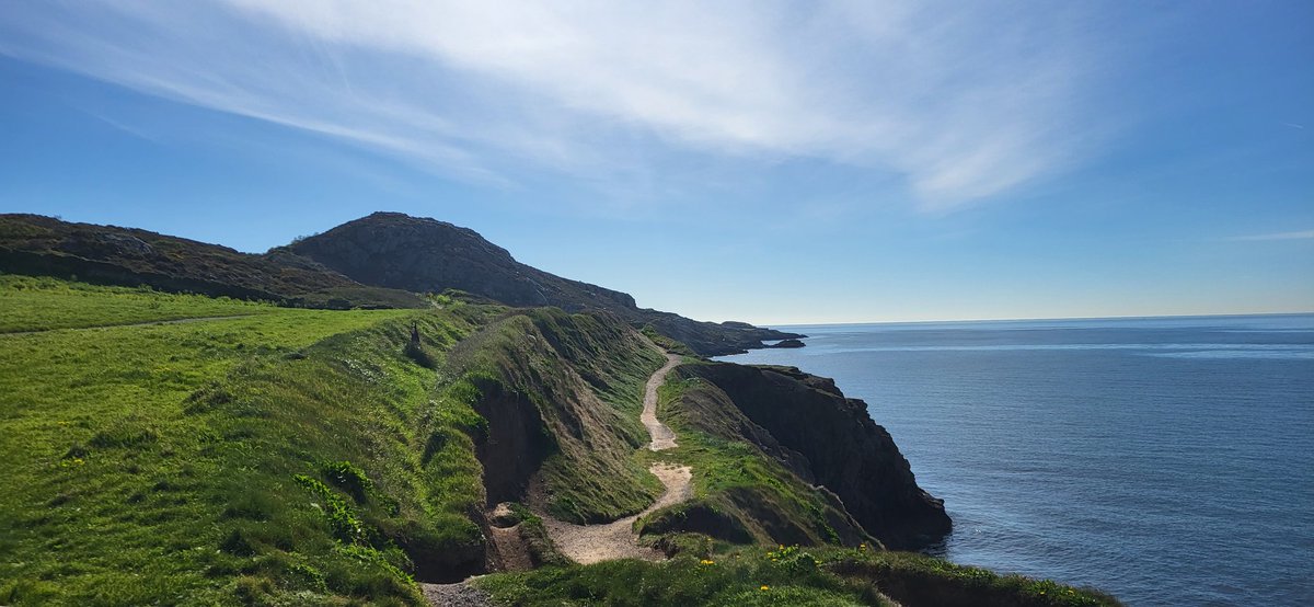 Alan Gallagher tweet media