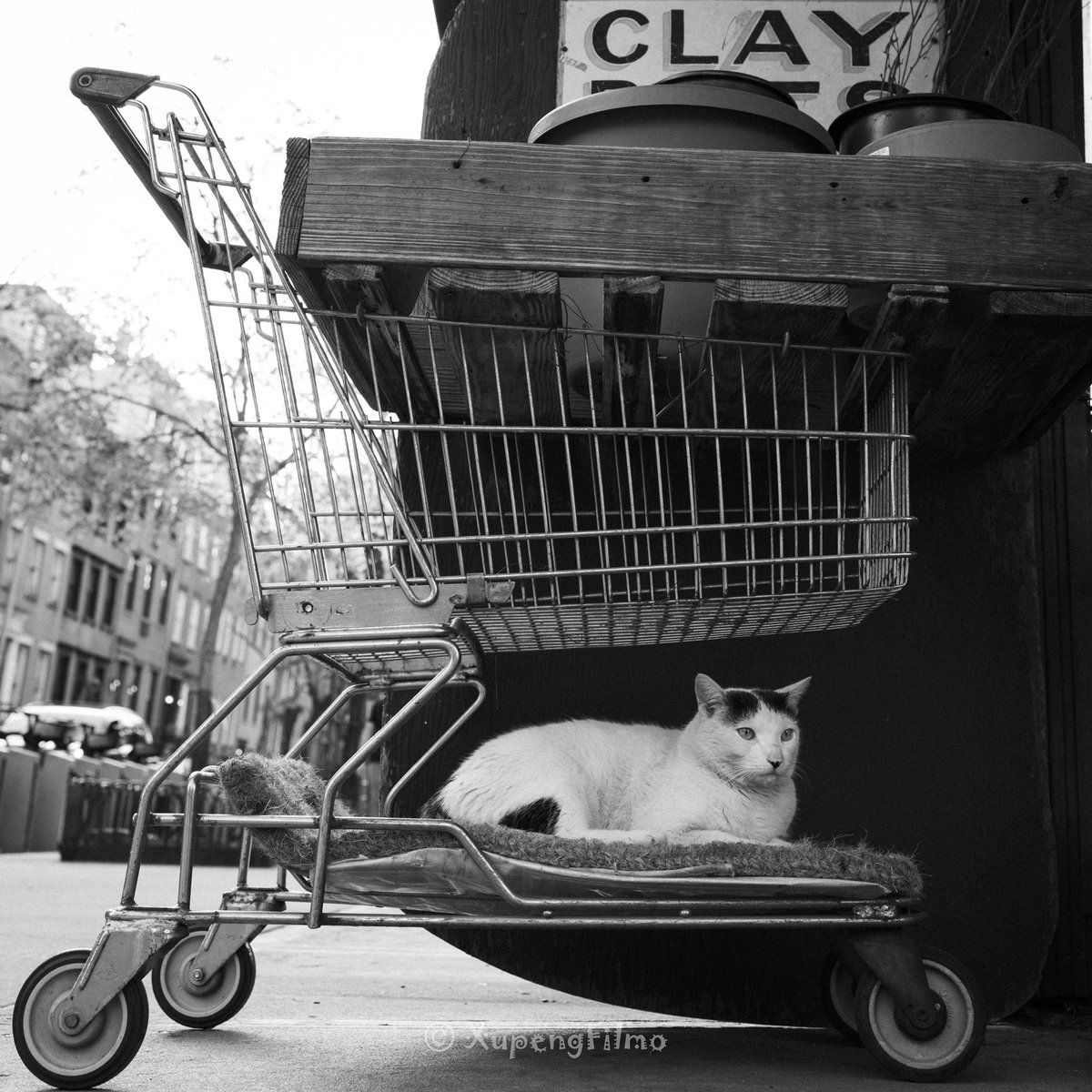 XupengFrank's tweet photo. street sweeping using rf 35mm f1.8

#扫街 #街拍 #NYC #streetphotography #soho #photography #纽约 #抓拍 #CaptureRamadanMoment #MOMENTICA #atmosphere #film https://t.co/VNKVzWEGz8