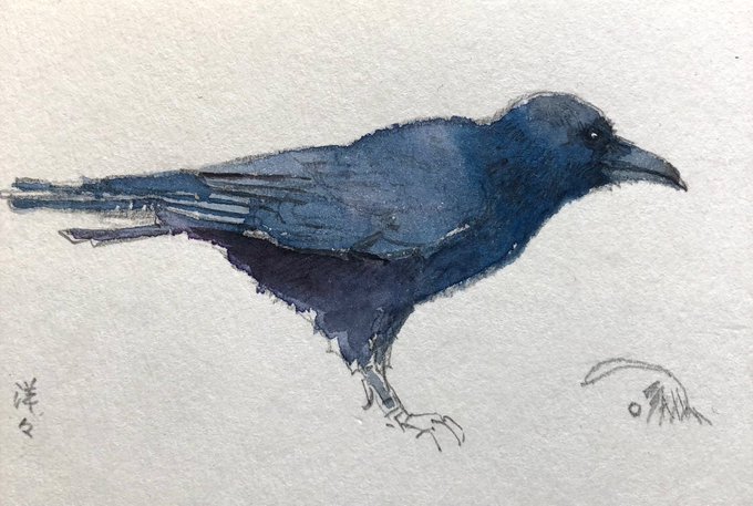 カラスは近所にいつもいるのでそればかり稽古してました。コロナで動物園が閉まってしまい再開まで作業が止まったのです。#やぶこぎ 