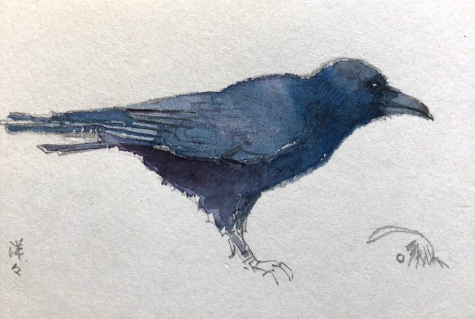 カラスは近所にいつもいるのでそればかり稽古してました。コロナで動物園が閉まってしまい再開まで作業が止まったのです。#やぶこぎ 