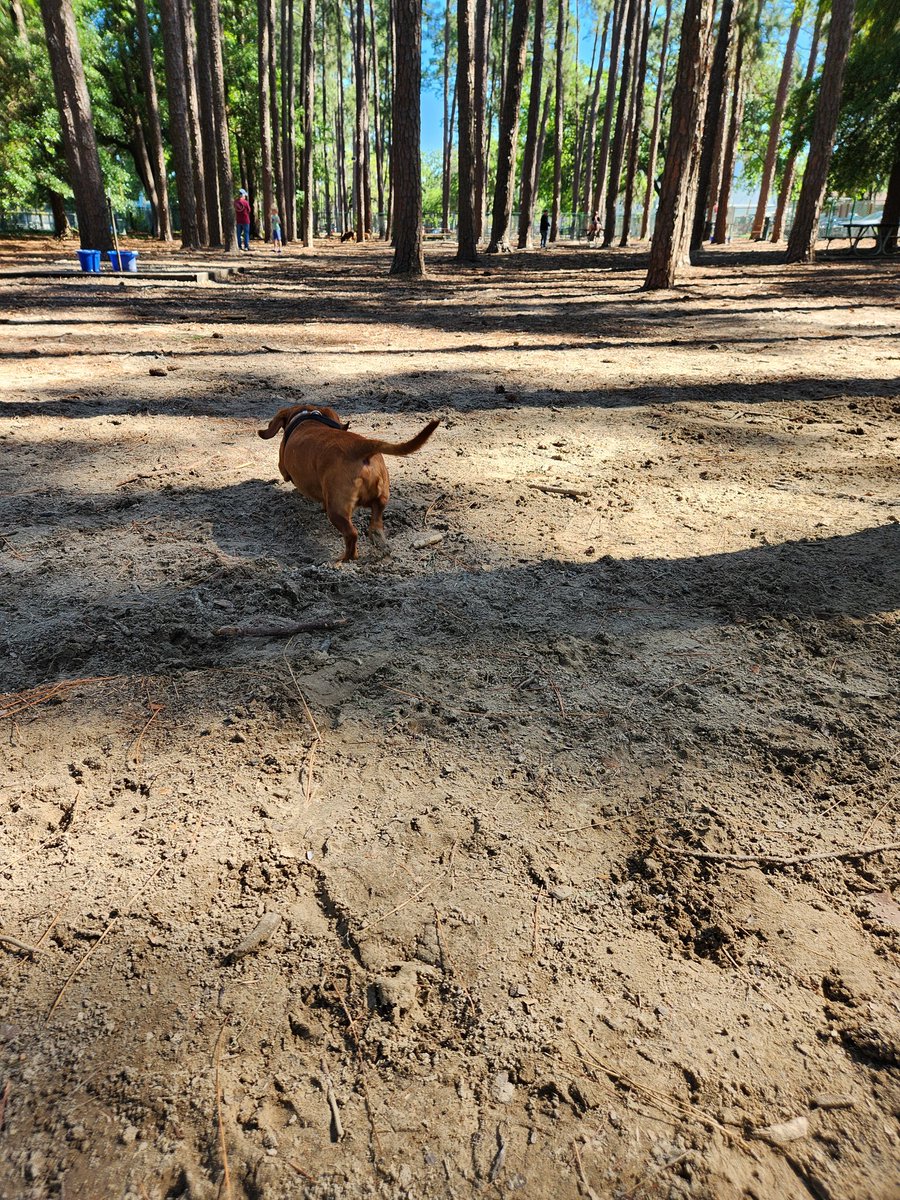 DOGPARK!!