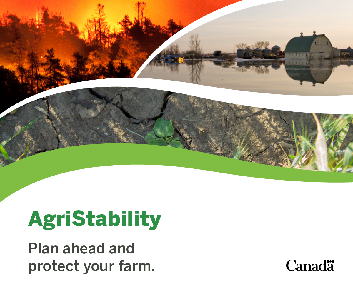 AAFC_Canada's tweet photo. Plan ahead and protect your farm with the AgriStability program. Get started with three easy steps: 
1. Enrol in the program 
2. Pay your fee 
3. Complete and send your AgriStability form 
Learn more: https://t.co/p4sO9sbCQd #CdnAg https://t.co/mDVN1ADSXA