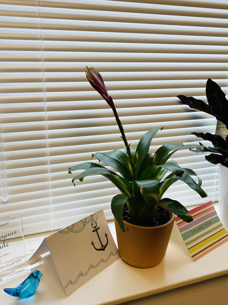 Angela Griffin tweet media