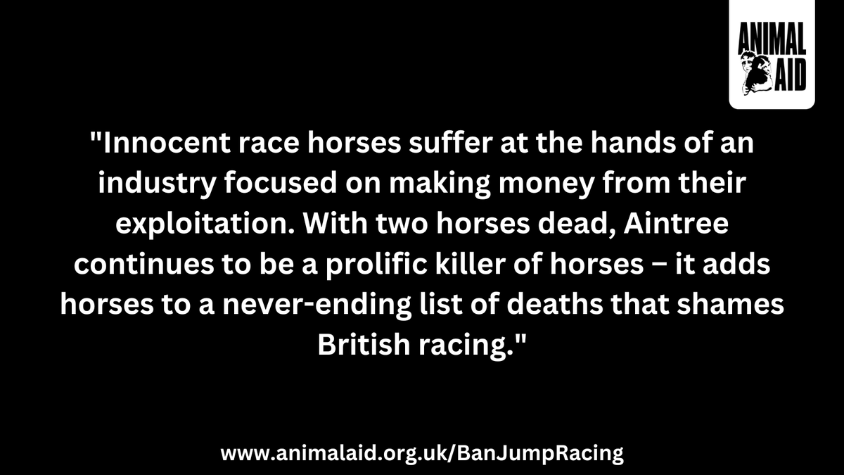 RIP Dark Raven. Killed at #Aintree this afternoon during the Turners Mersey Novices' Hurdle 💔

#BanJumpRacing #GrandNational #YouBetTheyDie