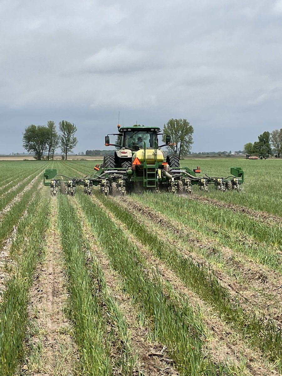 joshrupard's tweet photo. @Asgrow_DEKALB  corn seed going in the ground.   What an awesome week of weather and planting we have had
@TSmithFarms @CsmithFarms1 https://t.co/jDGOpR2VEc