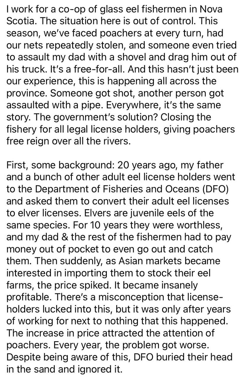 MrPresidentAria's tweet photo. Please share this. People need to be aware of what’s happening in Nova Scotia. @JoyceMurray is the latest in a long line of ministers under @JustinTrudeau that have mismanaged the glass eel fishery. Fishermen are fearing for their lives. Now the entire fishery has been shut down. https://t.co/PVS6GWVjCZ
