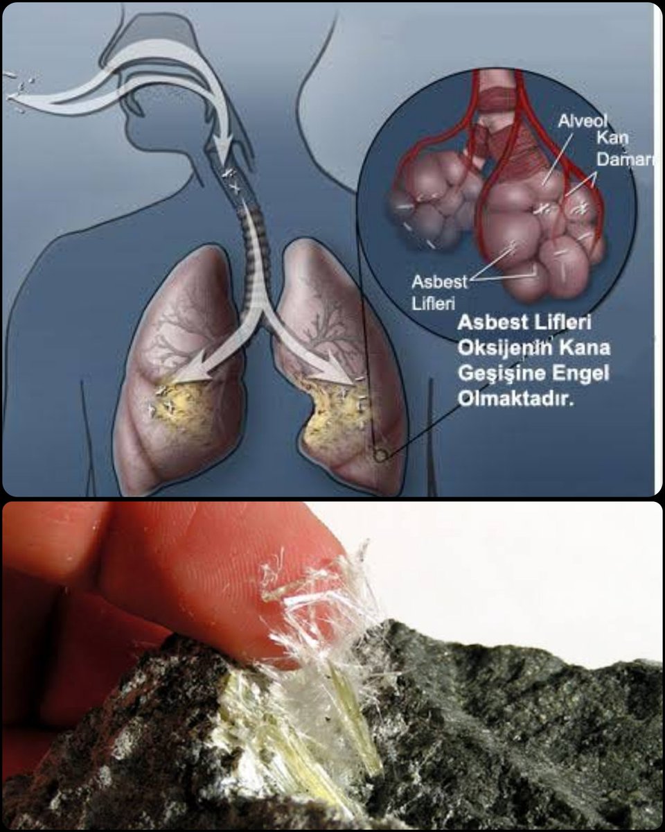 Güven İslamoğlu tweet media