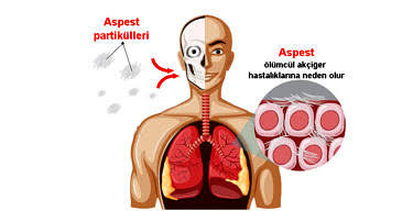 Güven İslamoğlu tweet media