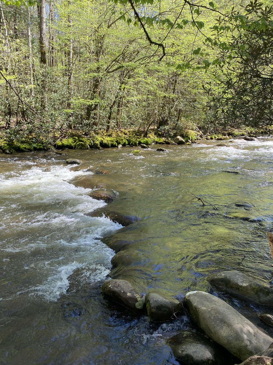 SNUCM's tweet photo. Pigeon Forge #easter #2023 #pigeonforge #Tennessee @DPS518 https://t.co/b8zKphX6kQ
