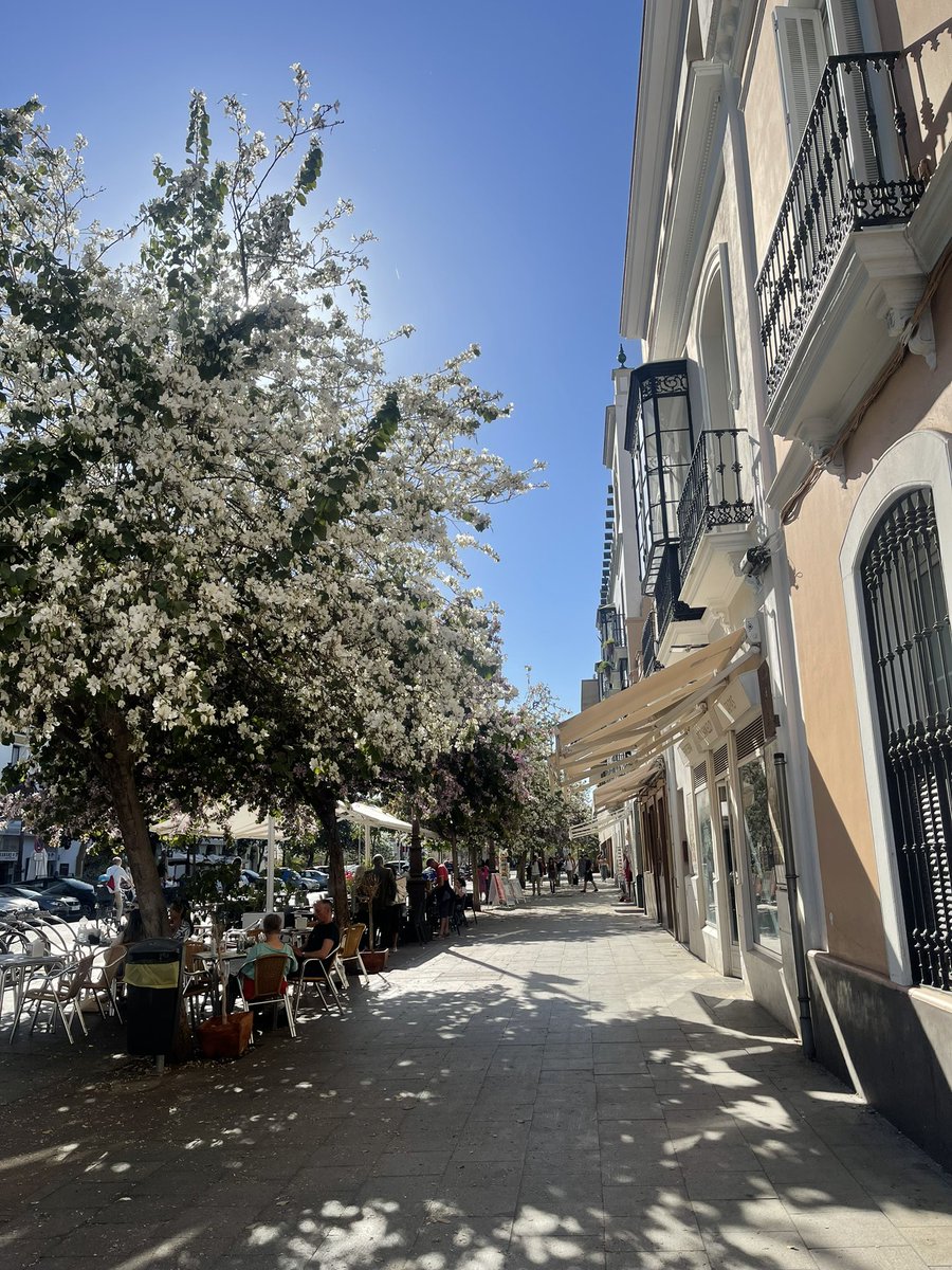 Nikkipandey's tweet photo. Loving Seville ❤️❤️. https://t.co/CygjwUtP4X