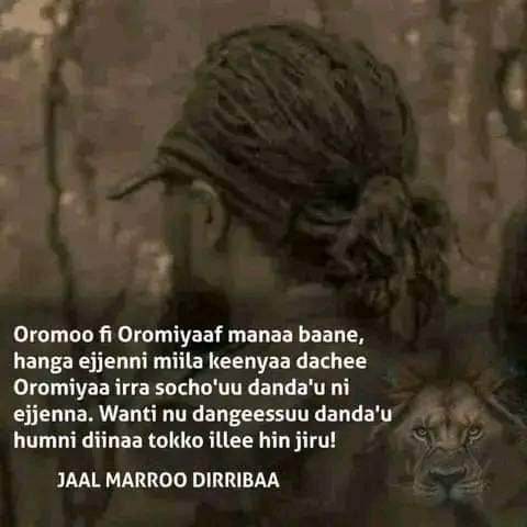 gorofugug's tweet photo. Jecha kaayyoon hoogganame https://t.co/NsJnATb79R