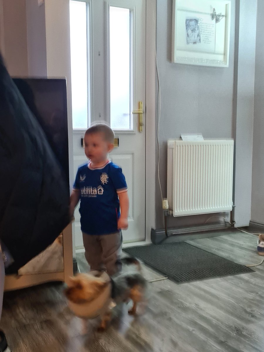 Cairnlodge1's tweet photo. We are @RangersFC #RangersFC #Blye #Grandson #Family #Kids #Grandsons 💙⚽🤣😇👁️🗨️✝️💙🇬🇧 https://t.co/6nYkMw93ZS