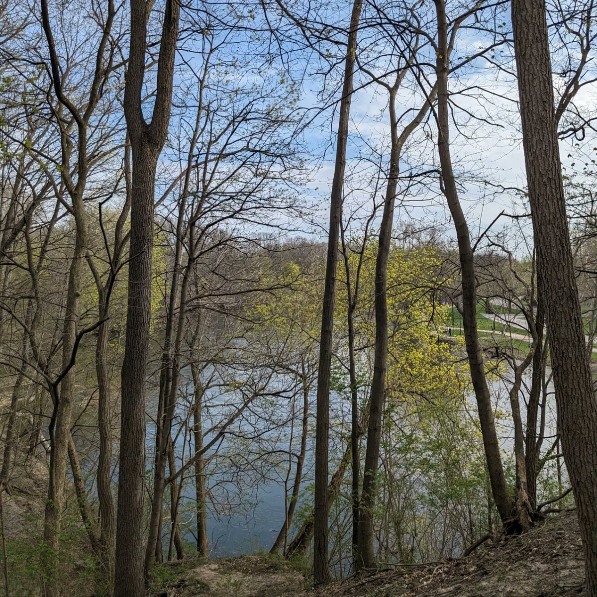 Emily Volpe tweet media