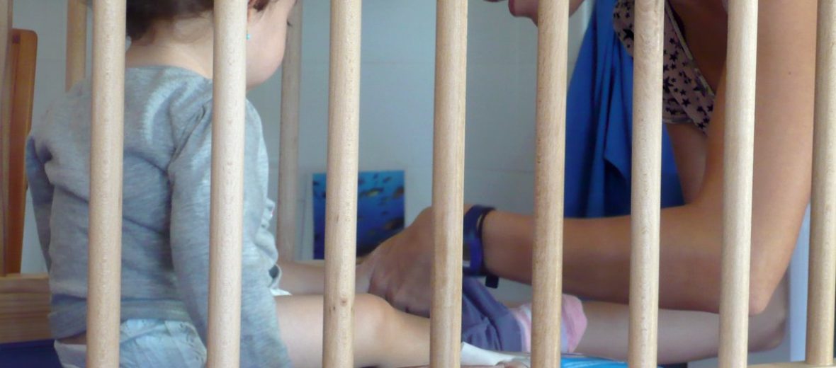 Cavall de Cartró Bressol tweet media