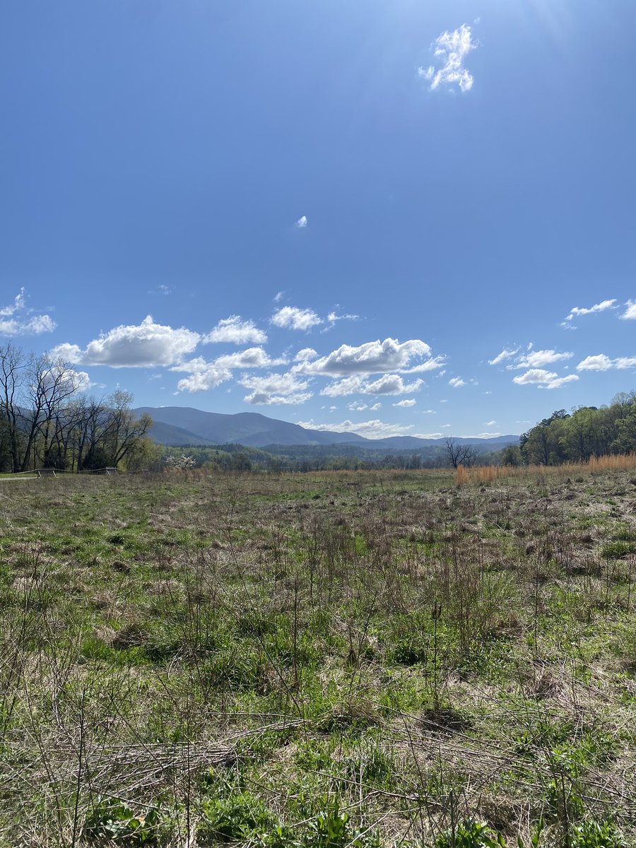 SNUCM's tweet photo. Pigeon Forge #easter #2023 #pigeonforge #Tennessee @DPS518 https://t.co/DKoSqxV46T