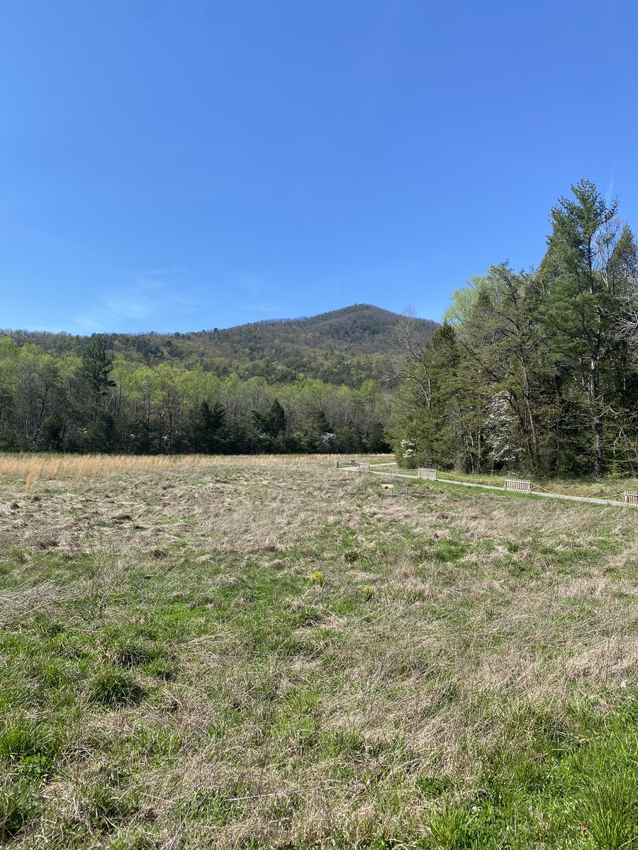 SNUCM's tweet photo. Pigeon Forge #easter #2023 #pigeonforge #Tennessee @DPS518 https://t.co/DKoSqxV46T