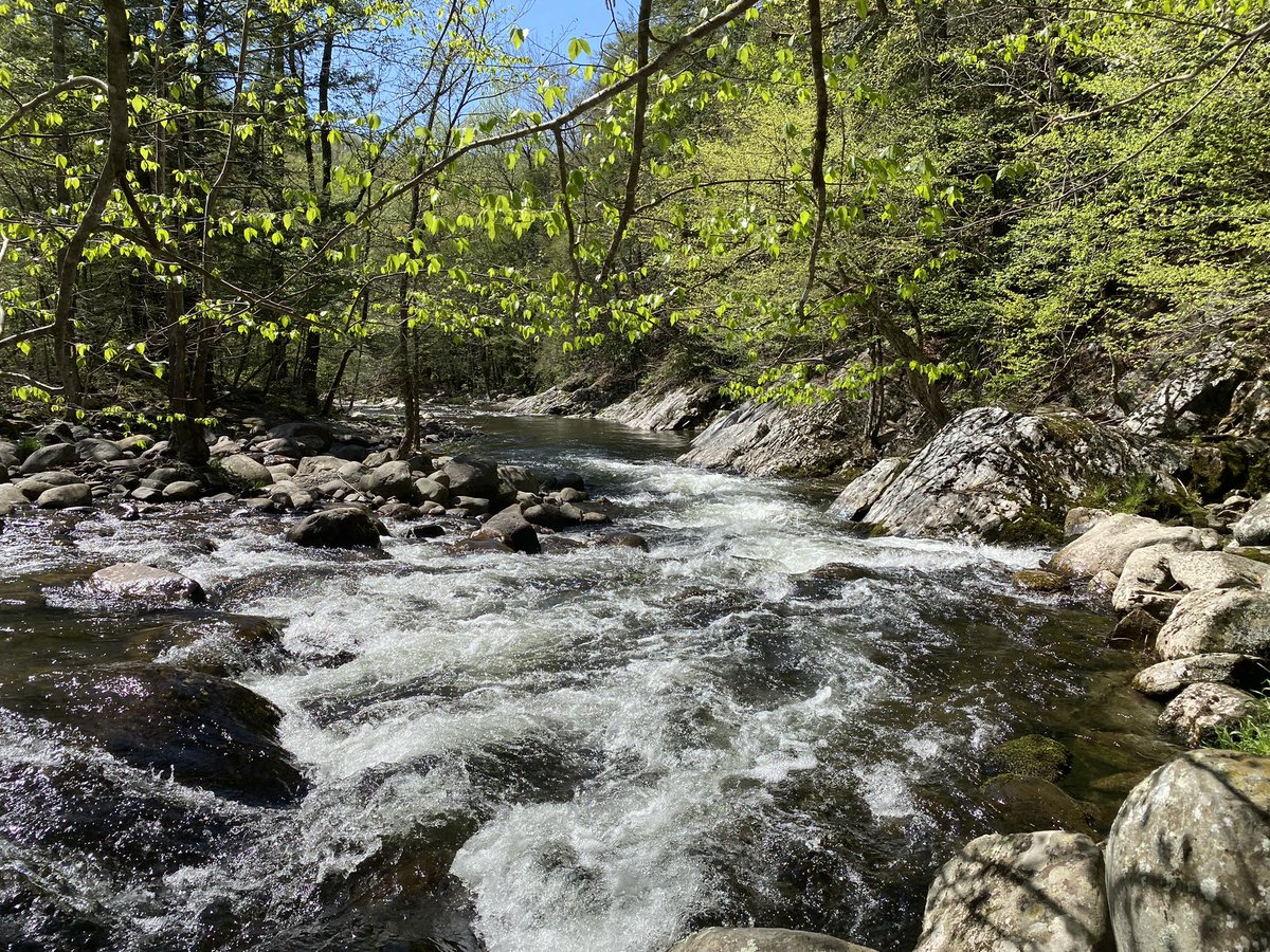 SNUCM's tweet photo. Pigeon Forge #easter #2023 #pigeonforge #Tennessee @DPS518 https://t.co/DKoSqxV46T