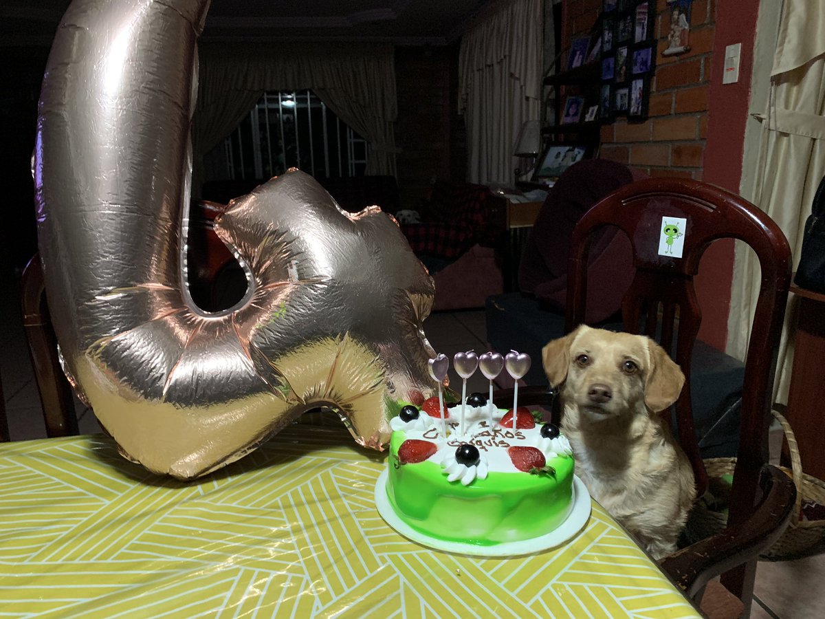 narcivergara's tweet photo. @SuavesLomitos Mi chikis cumpliendo 4 años https://t.co/Uc5MwXlsqj