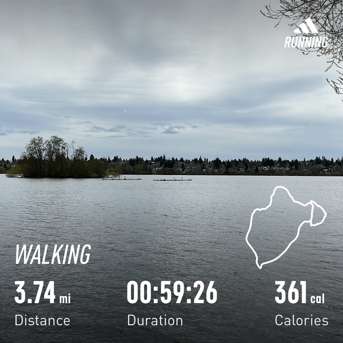 hyndoozy's tweet photo. Good #morningwalk today to think about the upcoming week and last third of school year. Definitely ready for #pnwspring to start showing out #seattle https://t.co/1tuljOUn9S