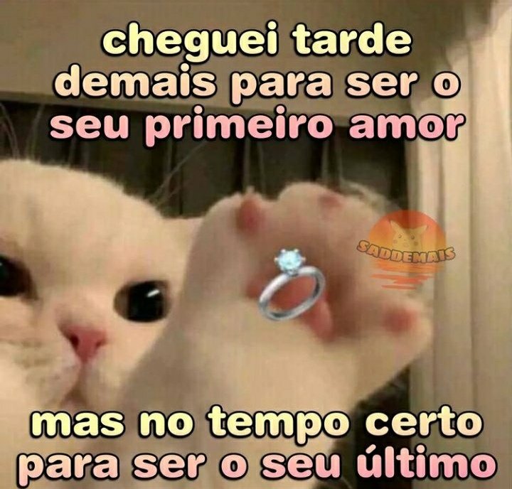 Memes para marcar ele(a) tweet media